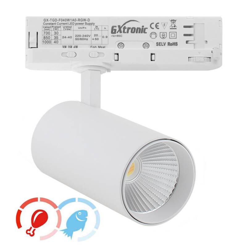 Foco carril Trifásico CRONOLUX, 40W-30W, blanco, 38º, UGR13, DUAL Carnes y Pescados, Magenta-Azul - XauenBatt Iluminación