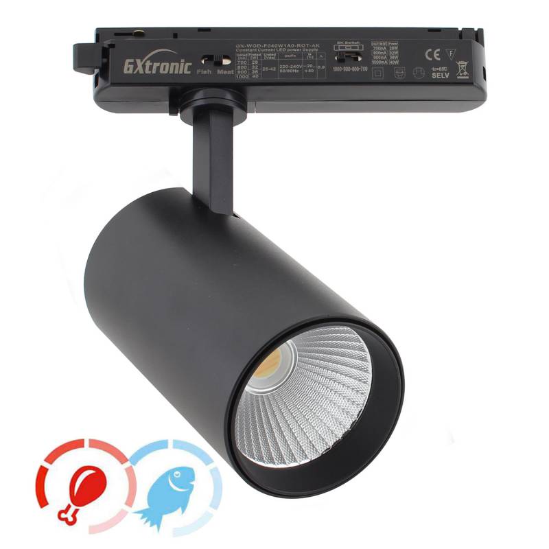 Foco carril Monofásico CRONOLUX, 40W-28W, blanco, 38º, UGR13, DUAL Carnes y Pescados, Magenta-Azul - XauenBatt Iluminación