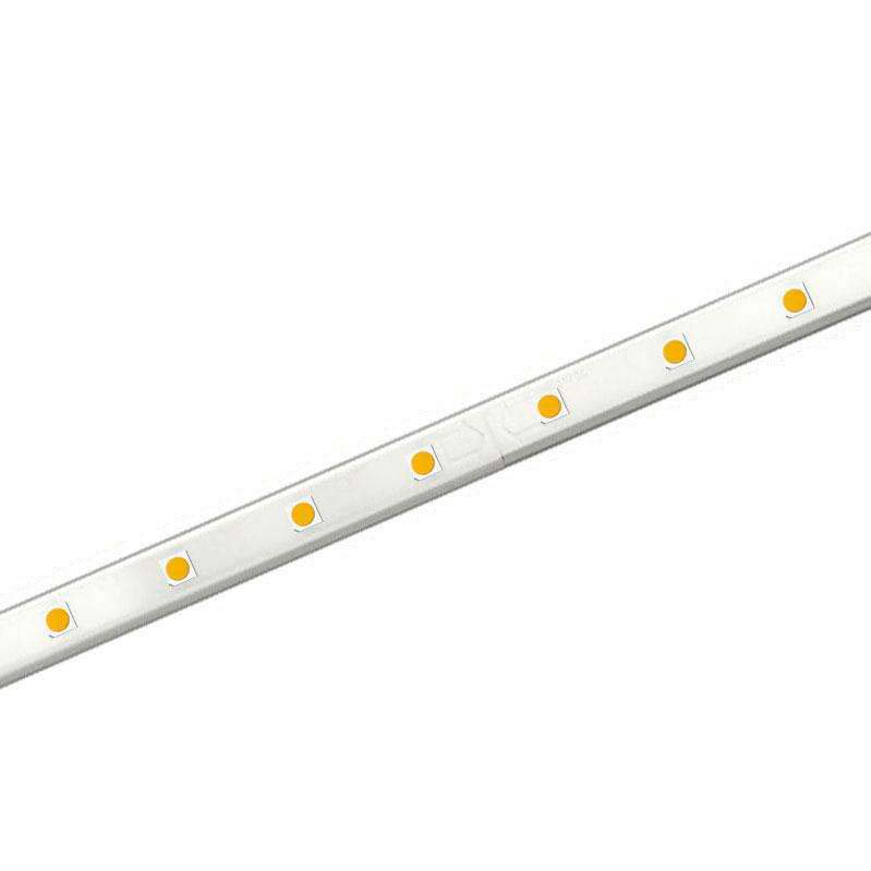 Tira LED TPU SMD5050, DC24V, 1m (60Led/m) - IP67, Rojo - XauenBatt Iluminación